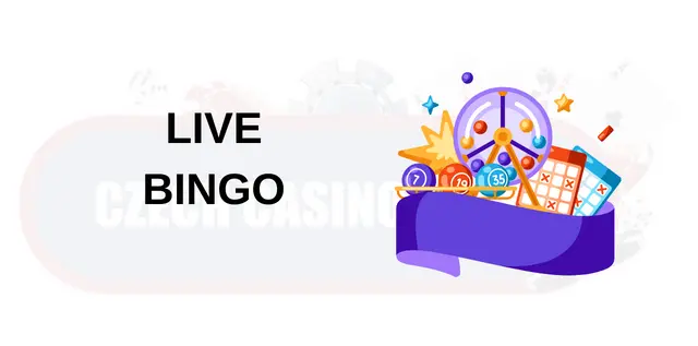 Kasino hry live Bingo